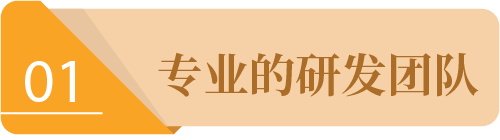 专业的研发团队